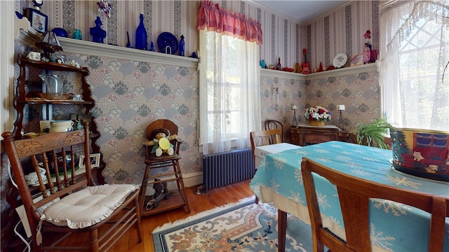 bedroom featuring radiator heating unit and wood-type flooring