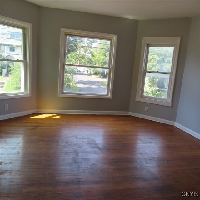 spare room featuring dark hardwood / wood-style floors and a healthy amount of sunlight