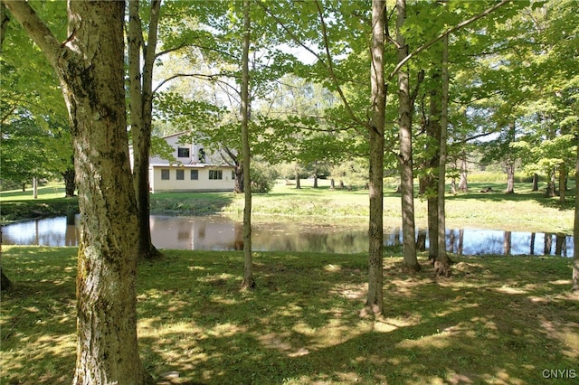 view of yard featuring a water view