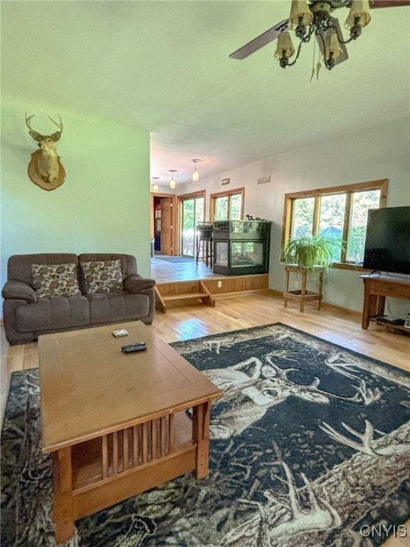 living room with ceiling fan and hardwood / wood-style flooring