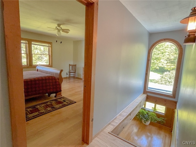 interior space with a healthy amount of sunlight and light hardwood / wood-style floors