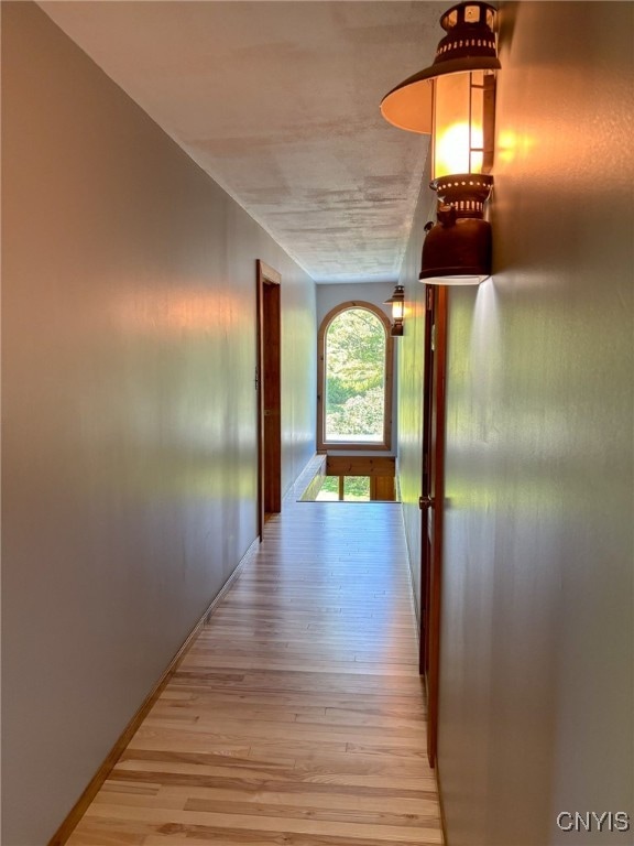 hall featuring wood-type flooring