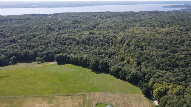 L31 Lewis Rd, Ellery NY, 14712 land for sale