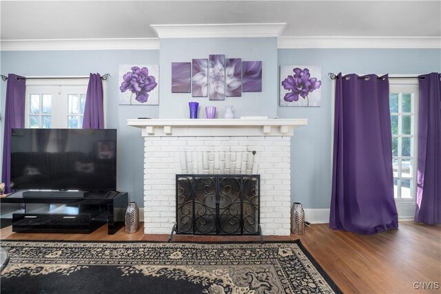 living room featuring ornamental molding, plenty of natural light, dark wood-type flooring, and a fireplace