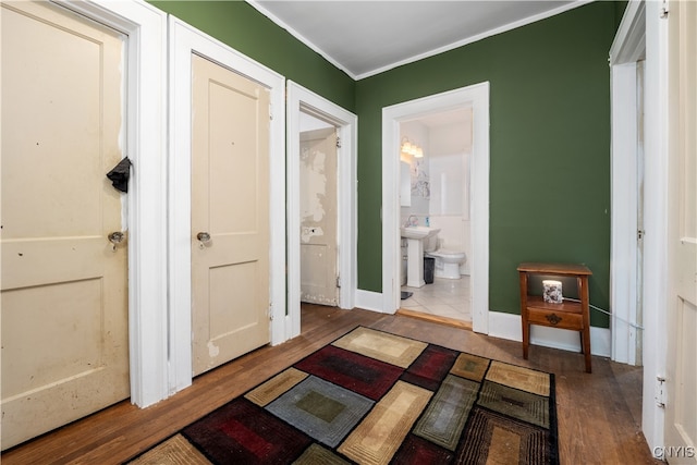 corridor featuring wood-type flooring and crown molding