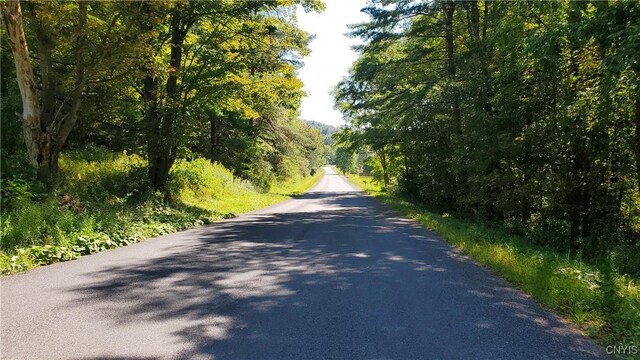 1110 Daisy Hollow Rd, Harford, NY 13053 - photo 10