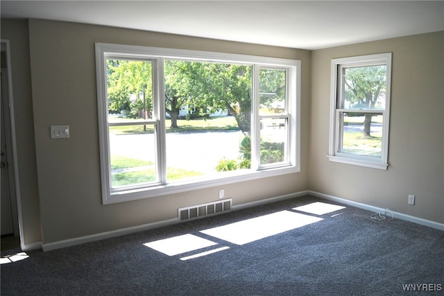 carpeted spare room with a healthy amount of sunlight