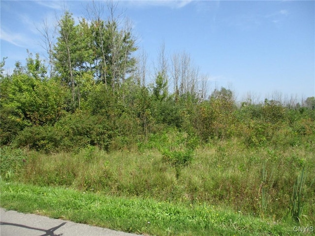 05 Hitchcock Point Rd, Sullivan, NY 13037 - photo 8