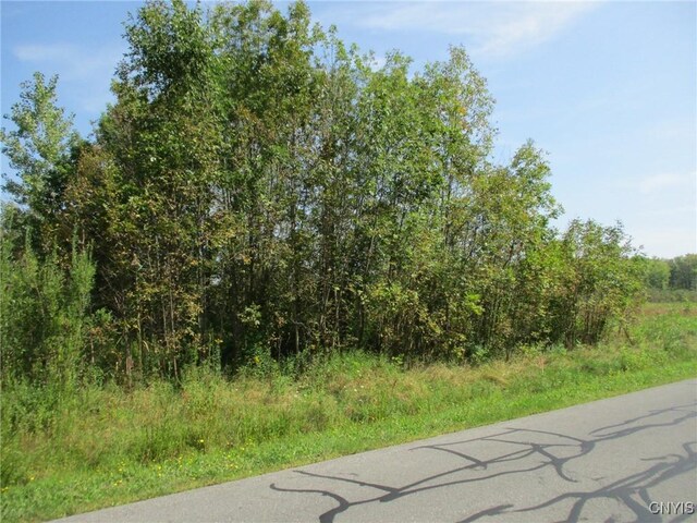 05 Hitchcock Point Rd, Sullivan, NY 13037 - photo 9