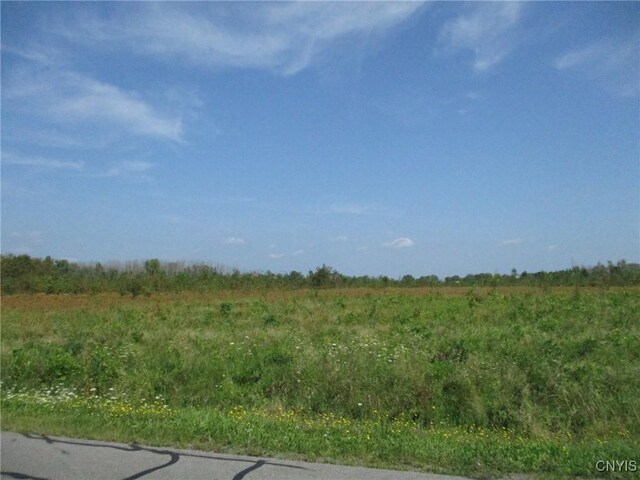 05 Hitchcock Point Rd, Sullivan, NY 13037 - photo 10