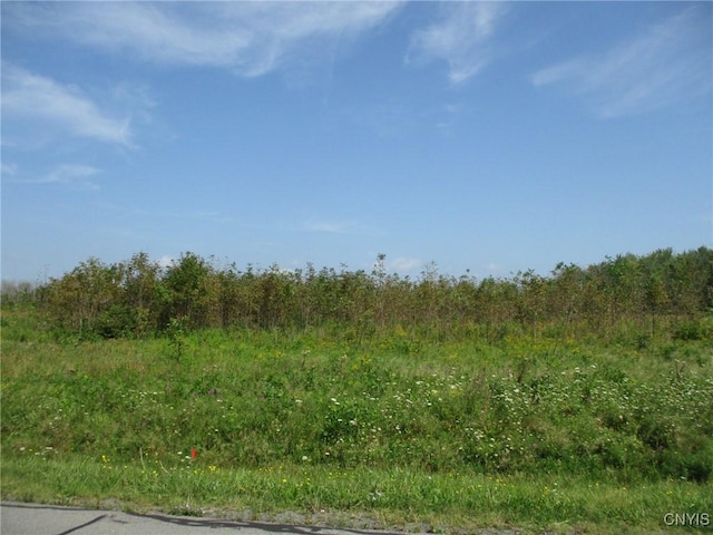 05 Hitchcock Point Rd, Sullivan, NY 13037 - photo 13