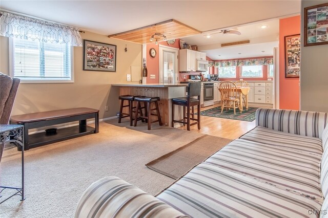 living room featuring light hardwood / wood-style floors and a healthy amount of sunlight