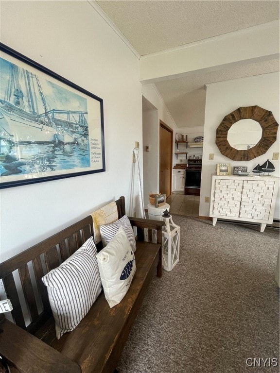 carpeted living room with vaulted ceiling and a textured ceiling