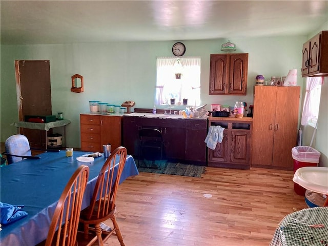 kitchen with sink and light hardwood / wood-style floors