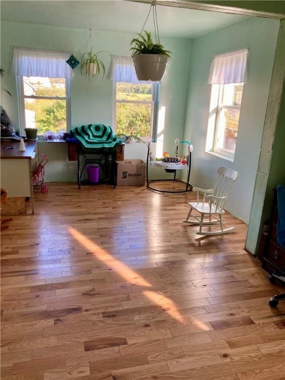 living area featuring light hardwood / wood-style floors