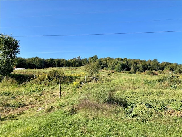 view of nature with a rural view