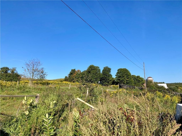 view of local wilderness with a rural view