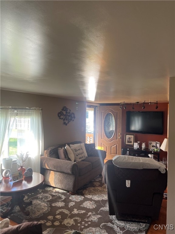 living room featuring a wealth of natural light