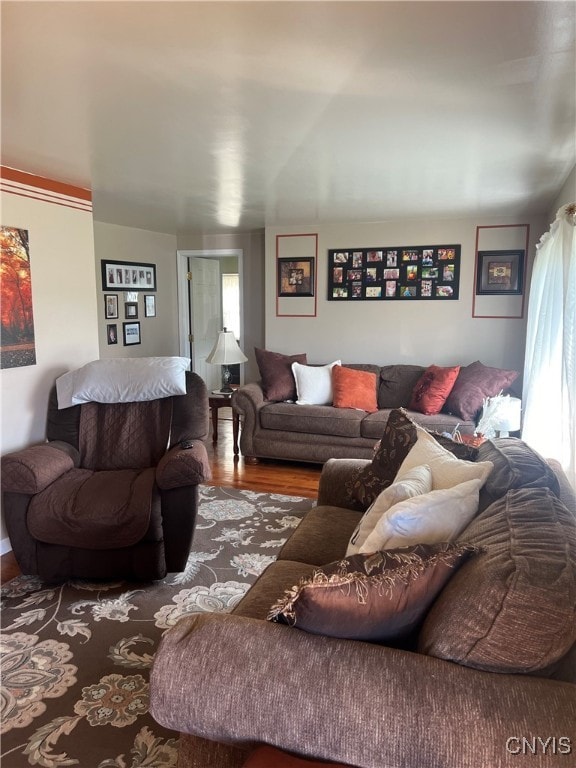 living room featuring wood-type flooring