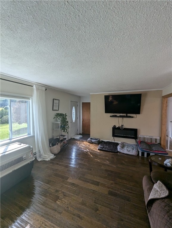 living room with dark wood-type flooring and a textured ceiling