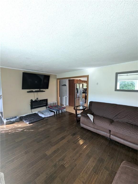 living room featuring dark hardwood / wood-style flooring and a textured ceiling