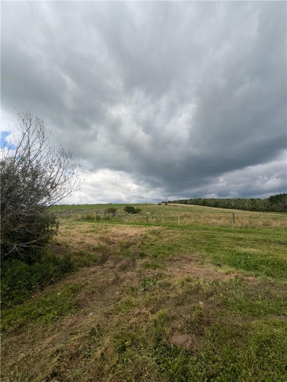 view of local wilderness with a rural view