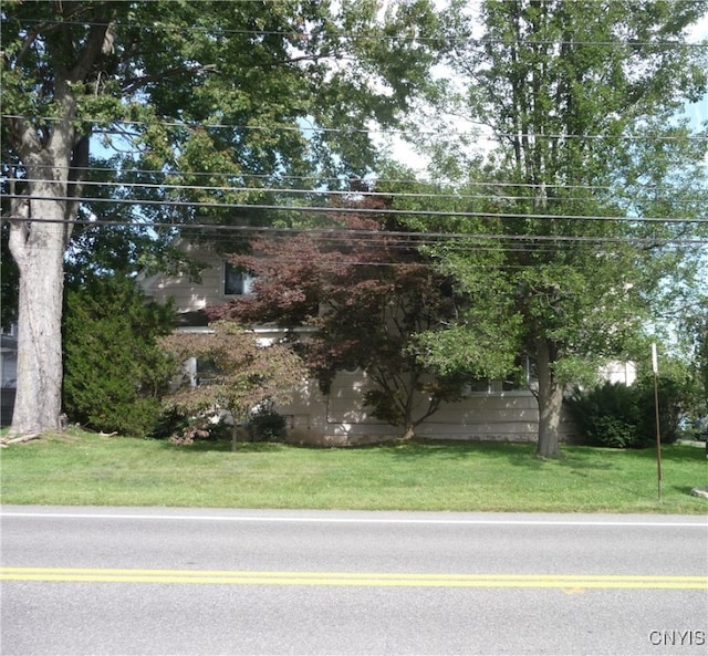 view of property hidden behind natural elements with a front lawn