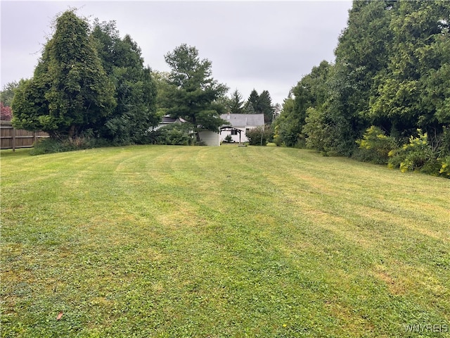 view of yard with a storage unit