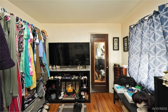 spacious closet featuring wood-type flooring