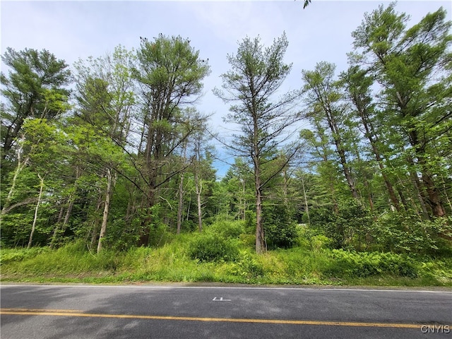 Listing photo 3 for 0 Midline Rd, Dryden NY 13068