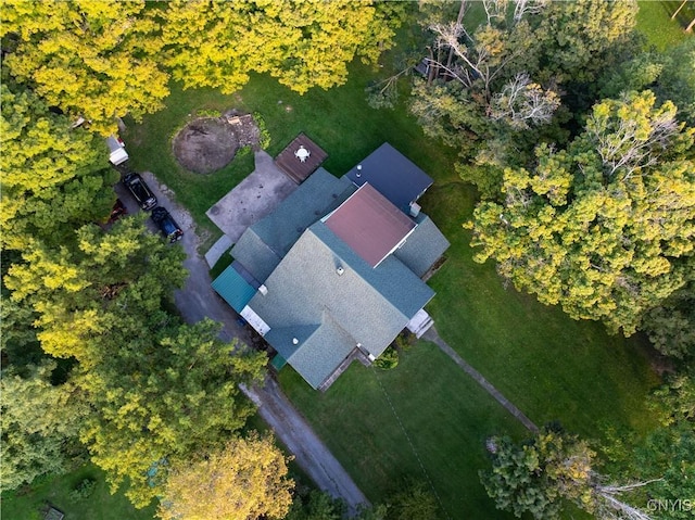 drone / aerial view
