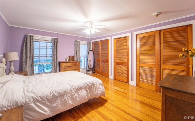 bedroom with crown molding, two closets, a ceiling fan, and light wood finished floors