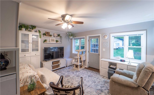 living area with a ceiling fan