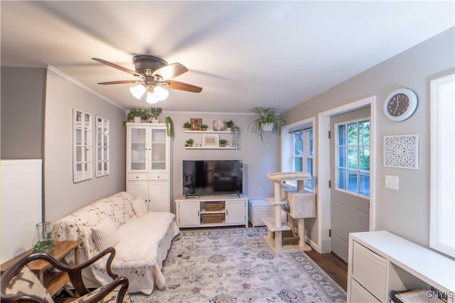 living room with wood finished floors, ceiling fan, and ornamental molding