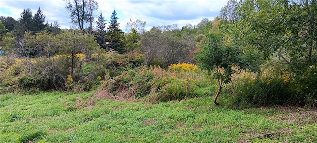 view of landscape