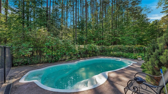 view of swimming pool featuring a patio