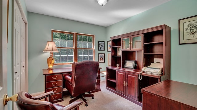 view of carpeted home office