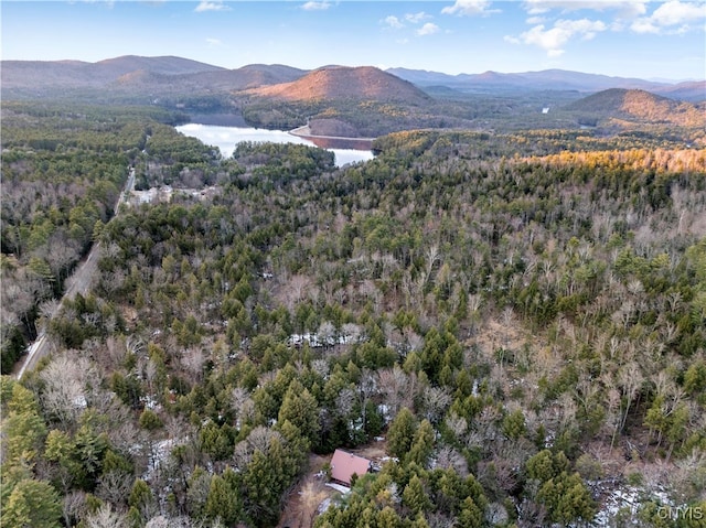 aerial view featuring a water and mountain view