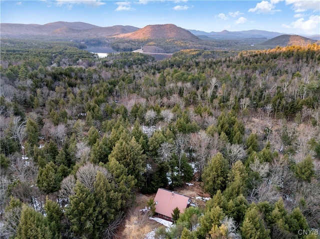 property view of mountains