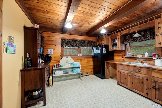 interior space with plenty of natural light, wood walls, sink, and black fridge