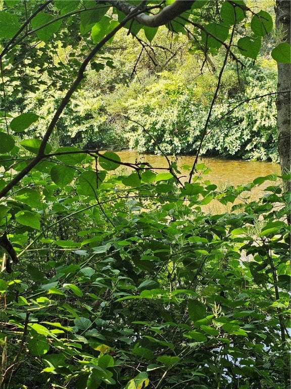 view of nature featuring a water view