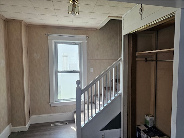 stairs with hardwood / wood-style floors