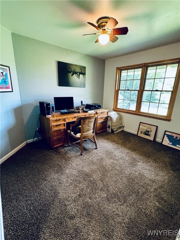 home office with ceiling fan and carpet flooring