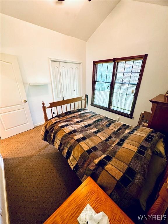 carpeted bedroom featuring vaulted ceiling and a closet