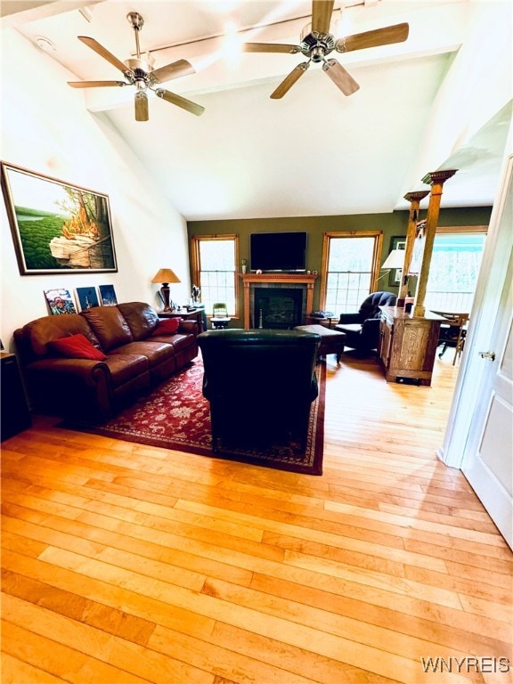 living room with hardwood / wood-style floors, ceiling fan, and plenty of natural light