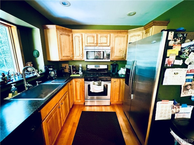 kitchen with light wood-type flooring, appliances with stainless steel finishes, and sink