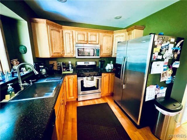 kitchen featuring stainless steel appliances, light wood-type flooring, and sink