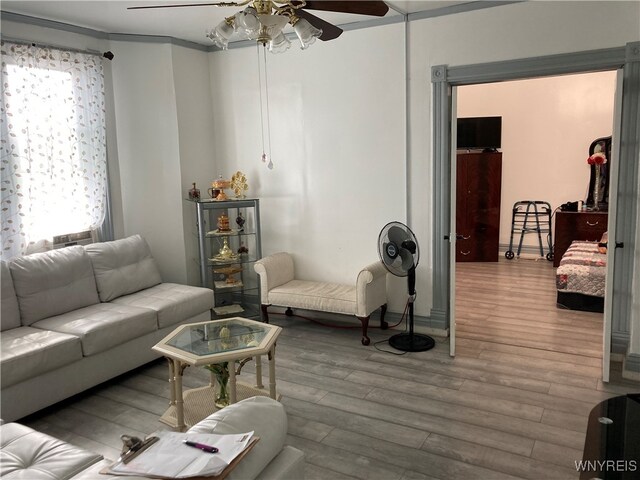 living room featuring hardwood / wood-style floors, ceiling fan, and a wealth of natural light