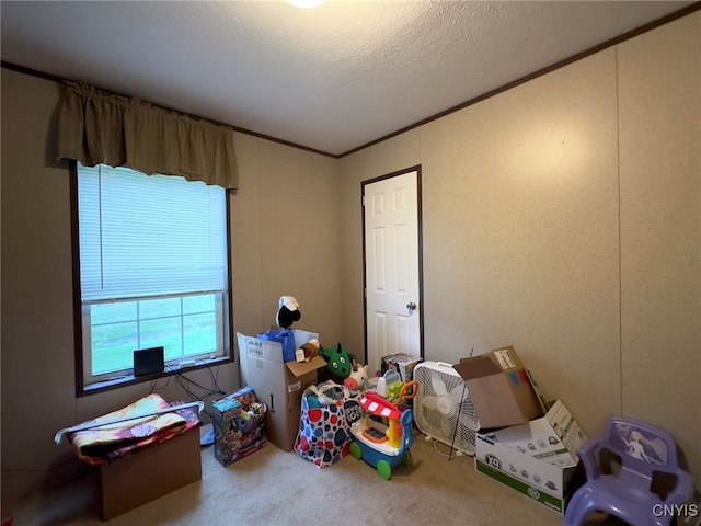 rec room with ornamental molding, a textured ceiling, and carpet flooring