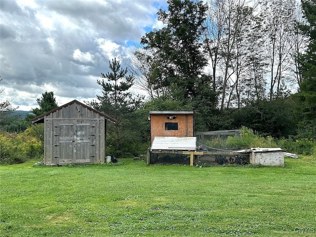 view of yard with a shed